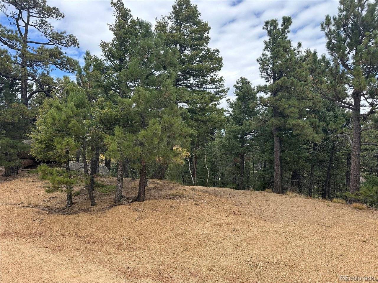 316 Summit Ridge, Manitou Springs, CO 80829