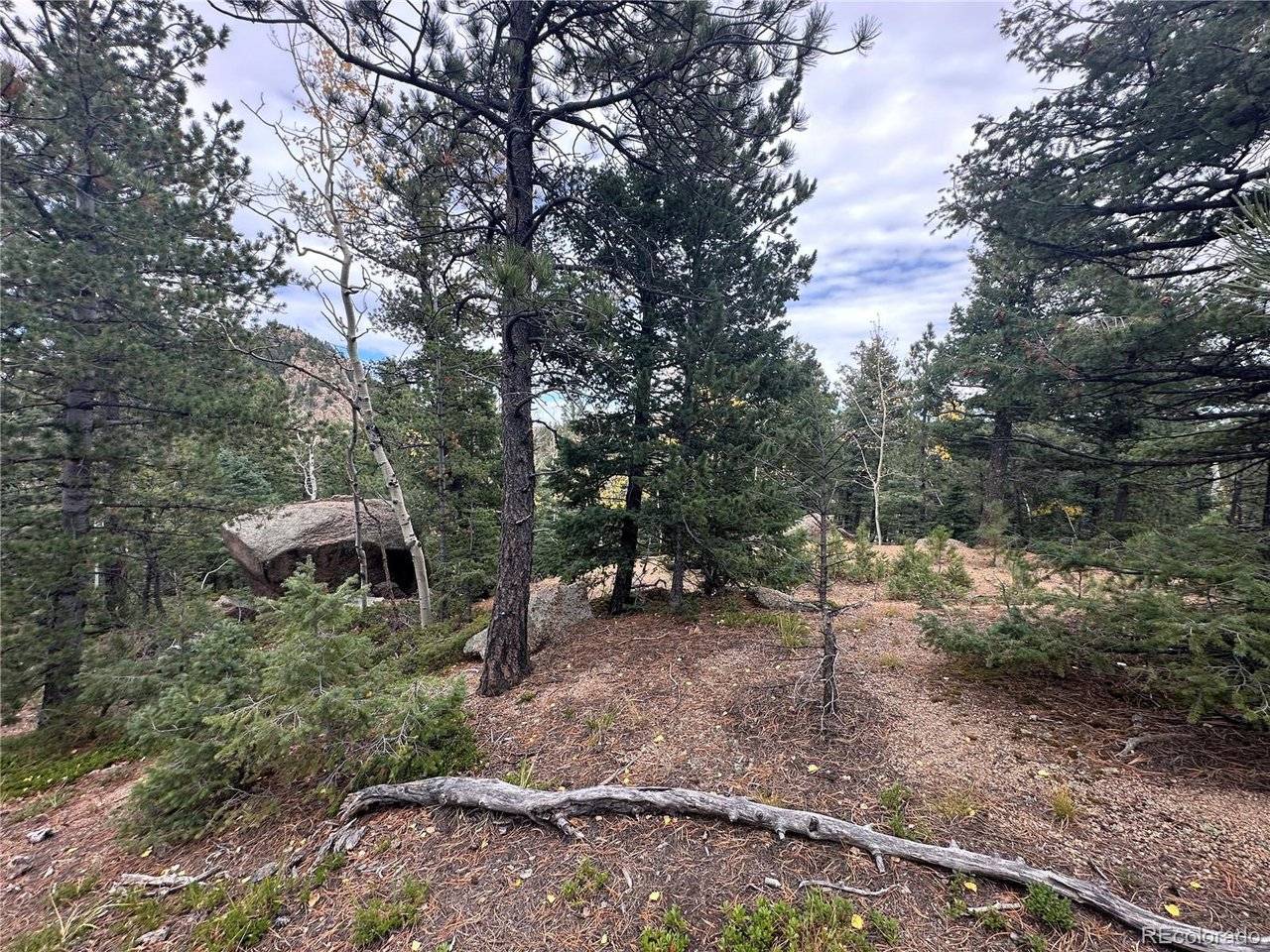 316 Summit Ridge, Manitou Springs, CO 80829