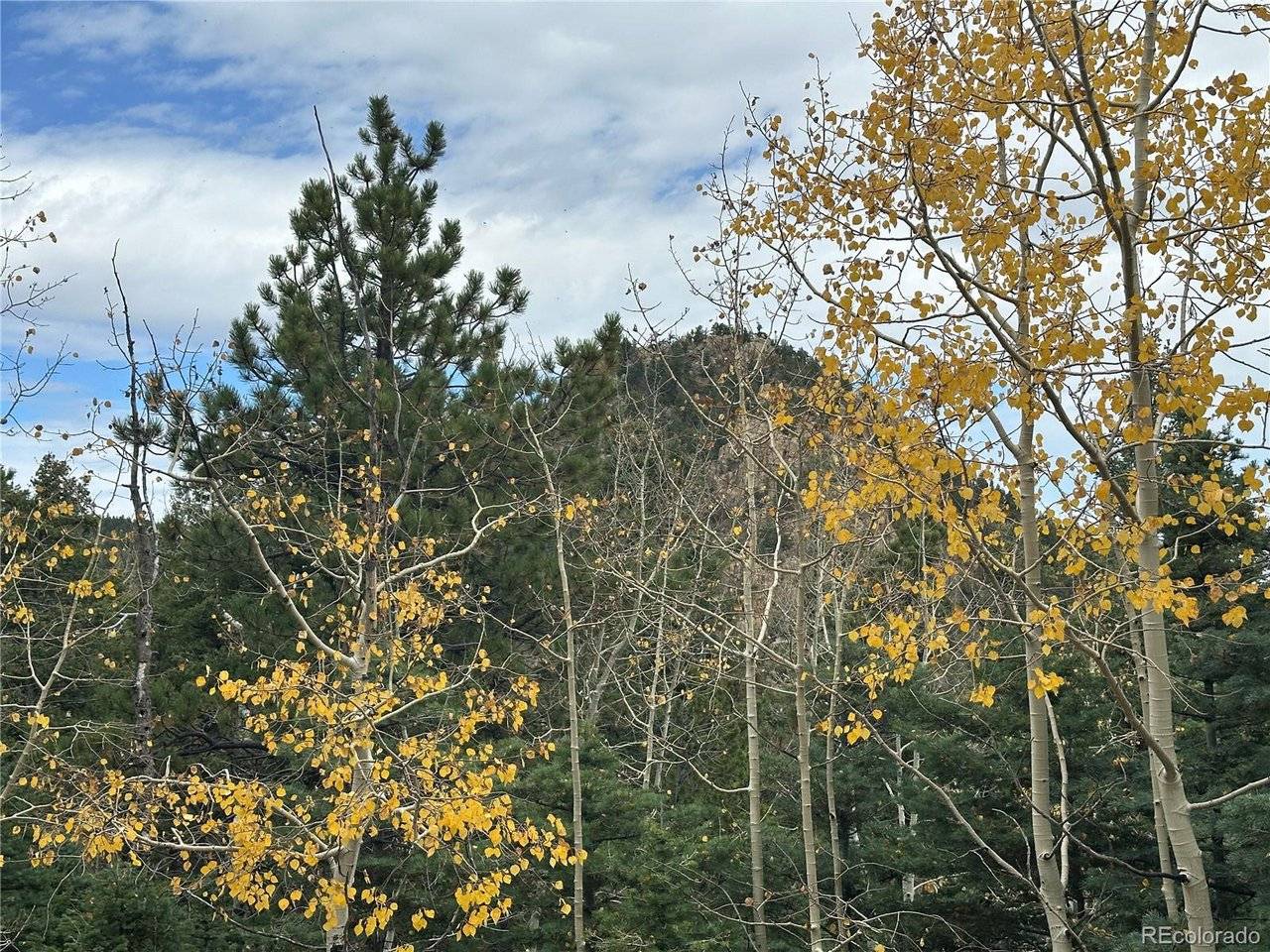 316 Summit Ridge, Manitou Springs, CO 80829