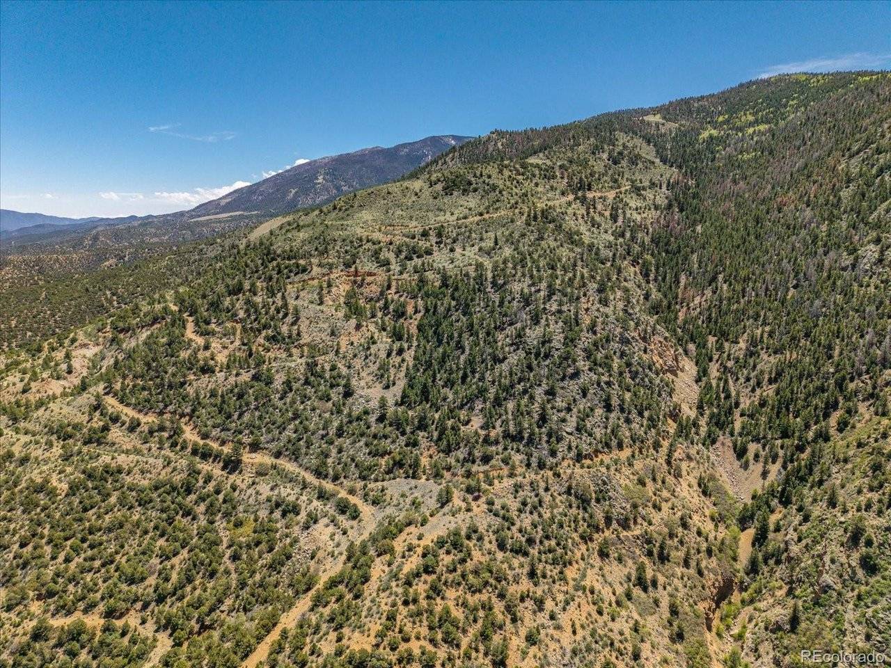 0 TBD County Road 115, Poncha Springs, CO 81242