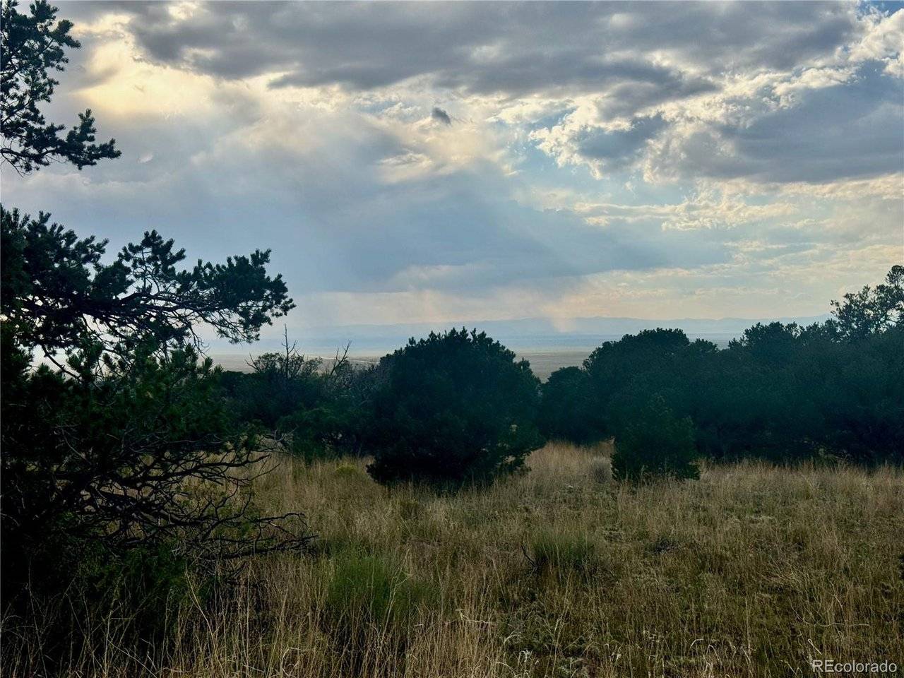 15 Clear Brook, Mosca, CO 81146