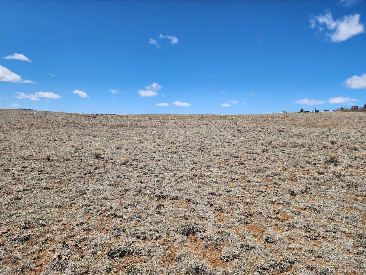 244 Brahma, Hartsel, CO 80449