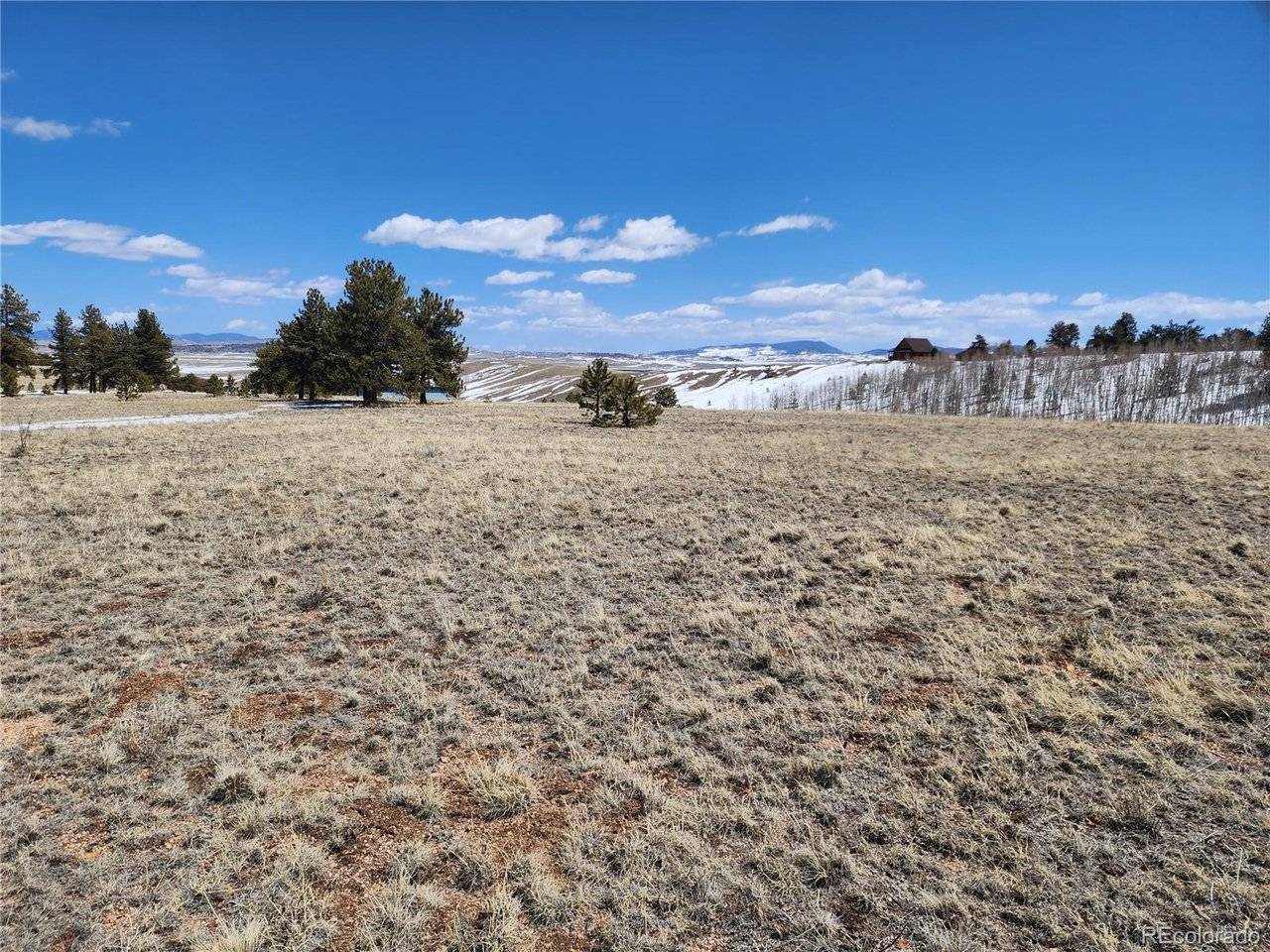 244 Brahma, Hartsel, CO 80449