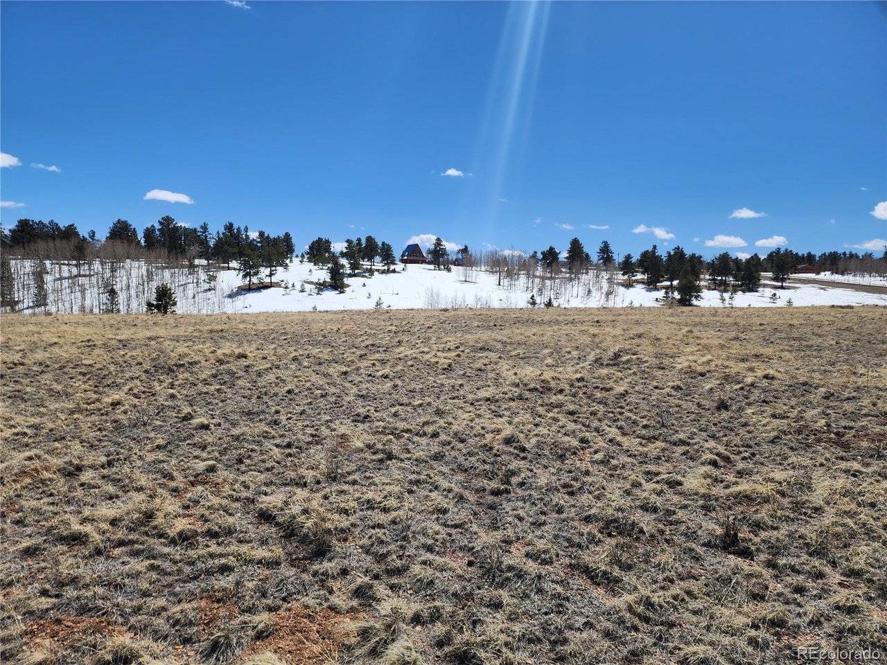 244 Brahma, Hartsel, CO 80449