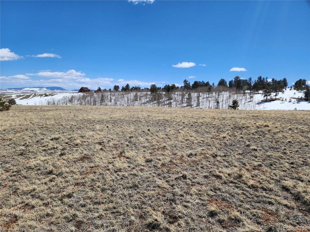 244 Brahma, Hartsel, CO 80449