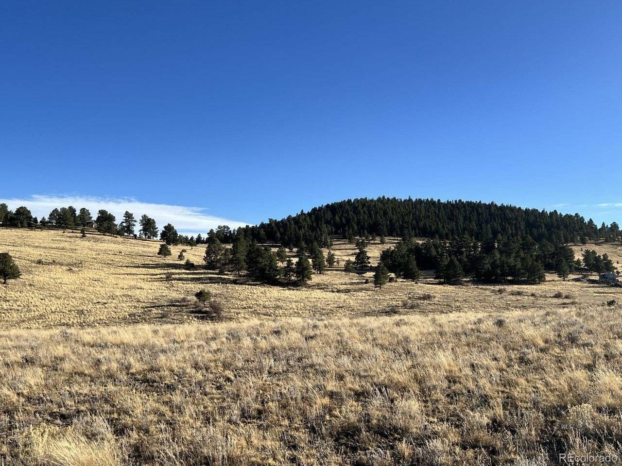 2001 County Road 329, Westcliffe, CO 81252