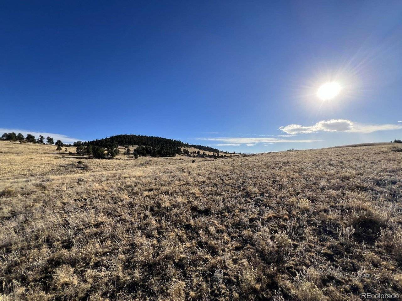 2001 County Road 329, Westcliffe, CO 81252
