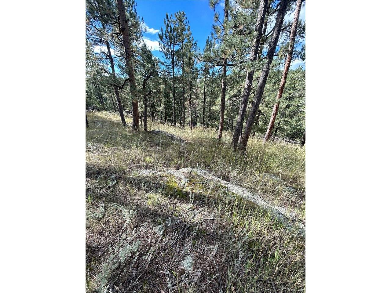 5233 S Road A, Evergreen, CO 80439