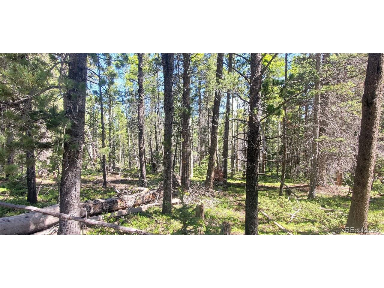 2914 Forbes Loop, Fort Garland, CO 81133