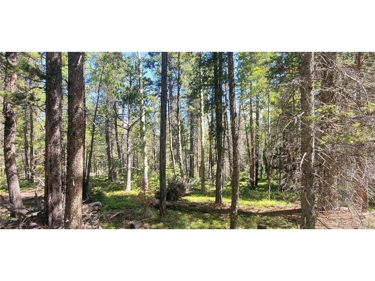 2914 Forbes Loop, Fort Garland, CO 81133