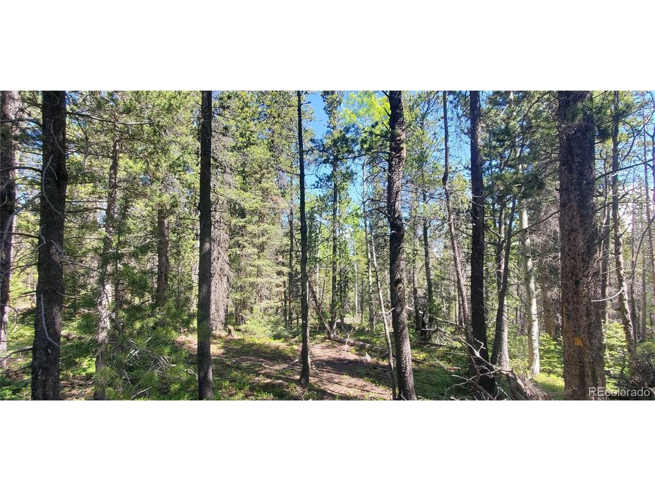 2914 Forbes Loop, Fort Garland, CO 81133