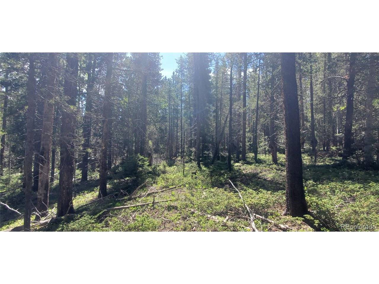 2914 Forbes Loop, Fort Garland, CO 81133
