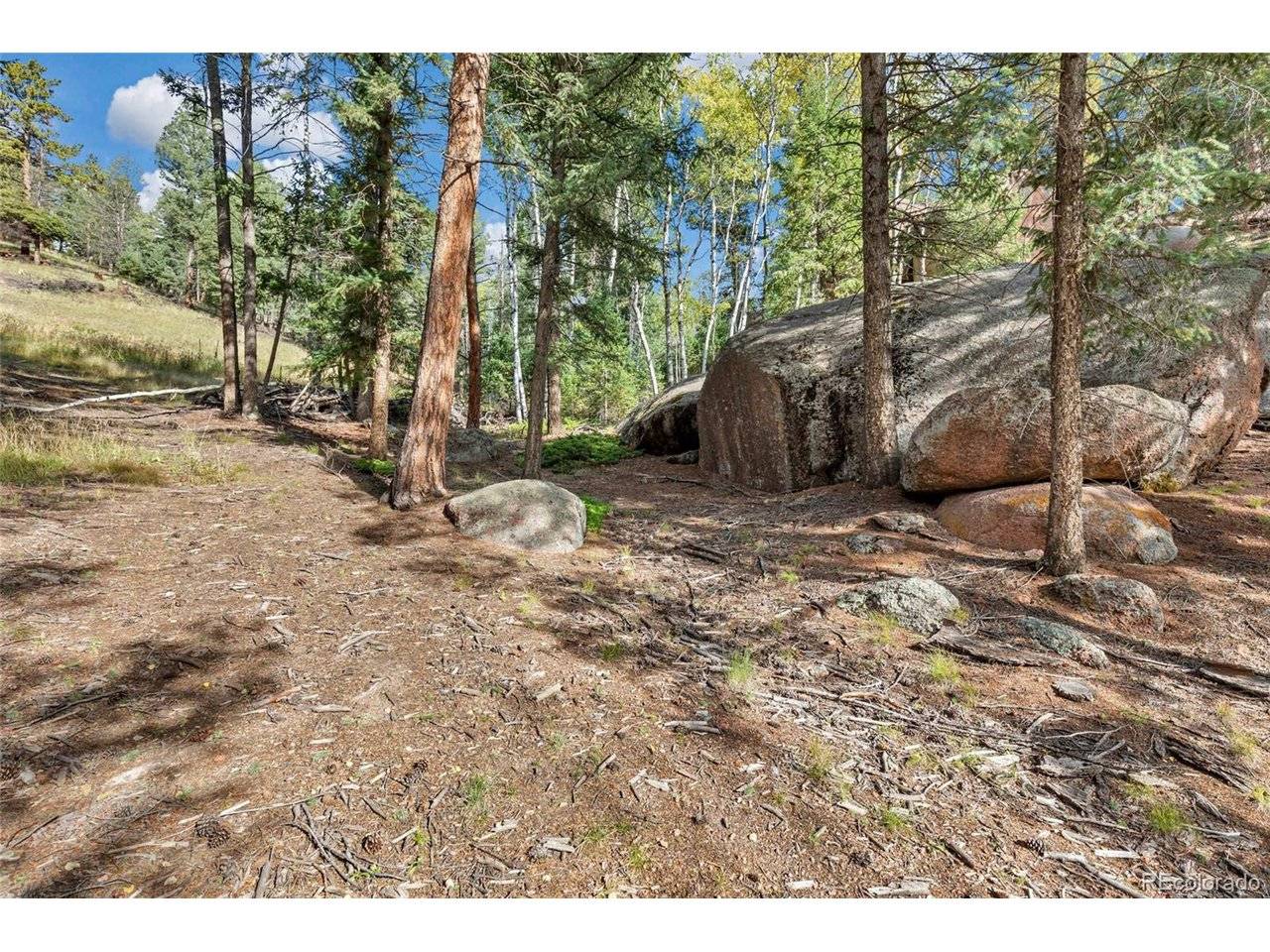 926 Pinon, Florissant, CO 80816