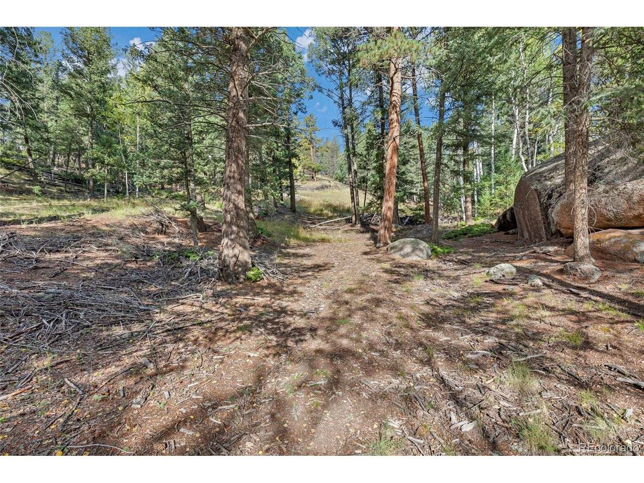 926 Pinon, Florissant, CO 80816