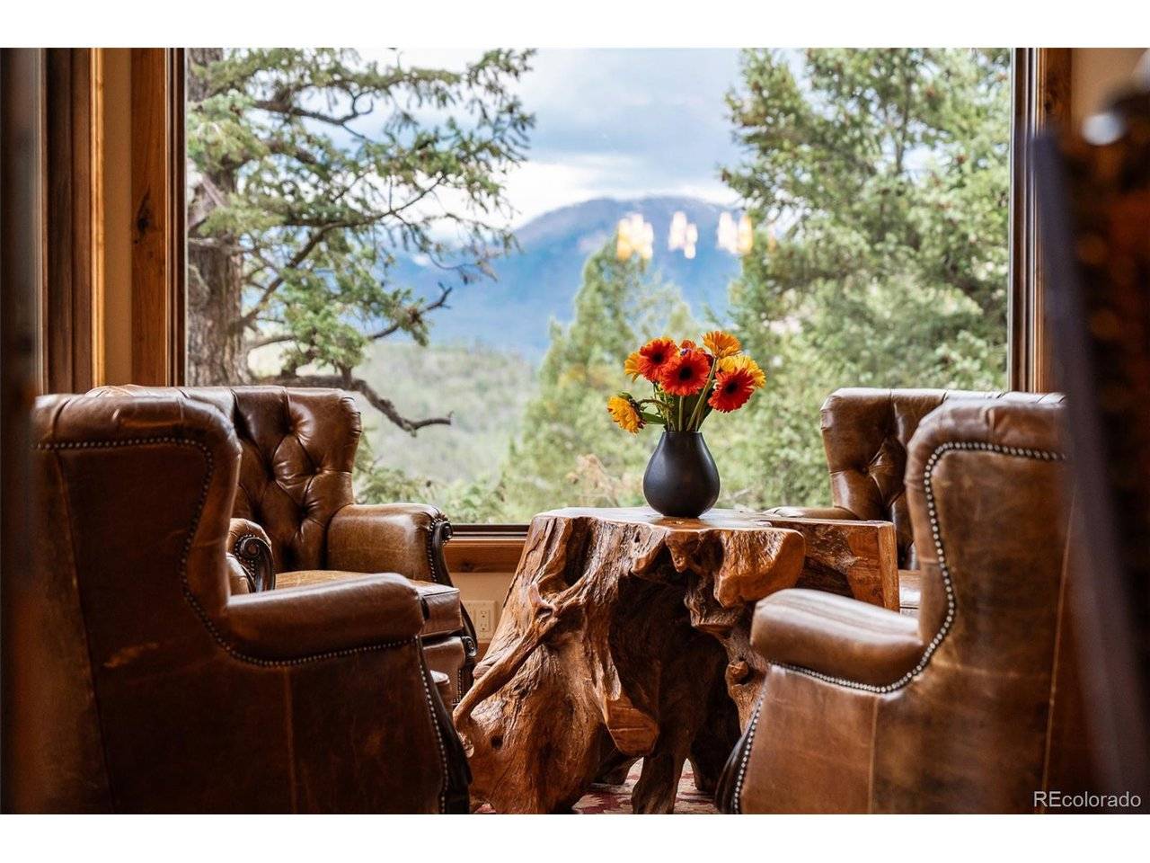 31 Pinnacle, Dillon, CO 80435