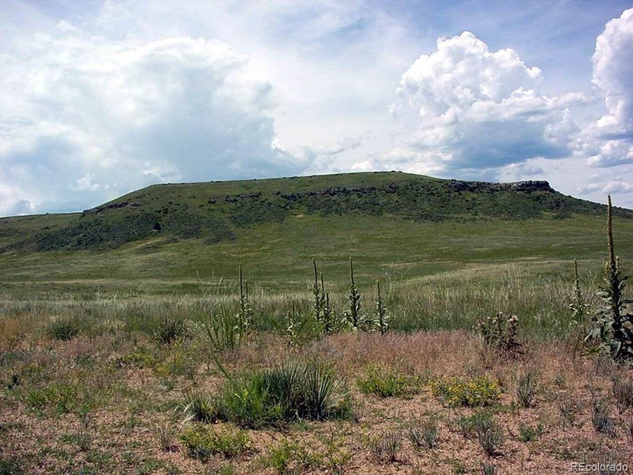 Lot 4 Twin Bluffs, Larkspur, CO 80118