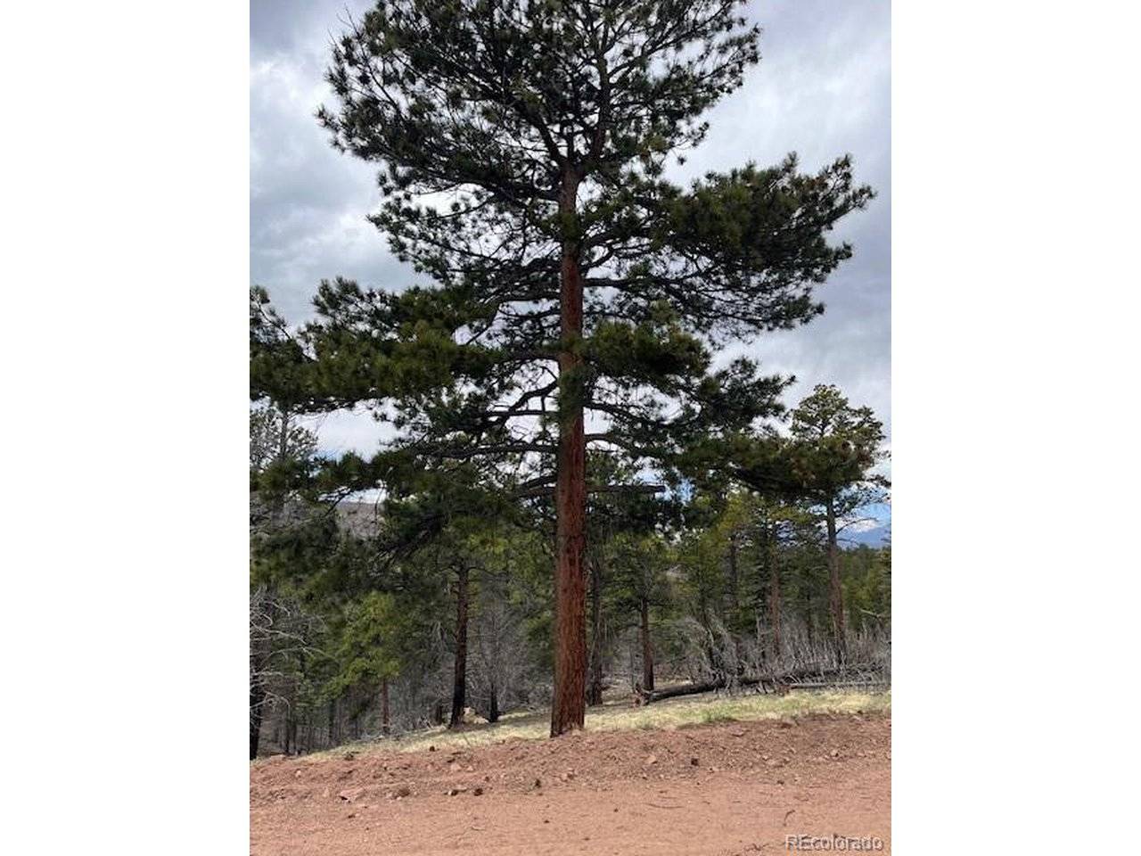 513 Leslie, Fort Garland, CO 81133