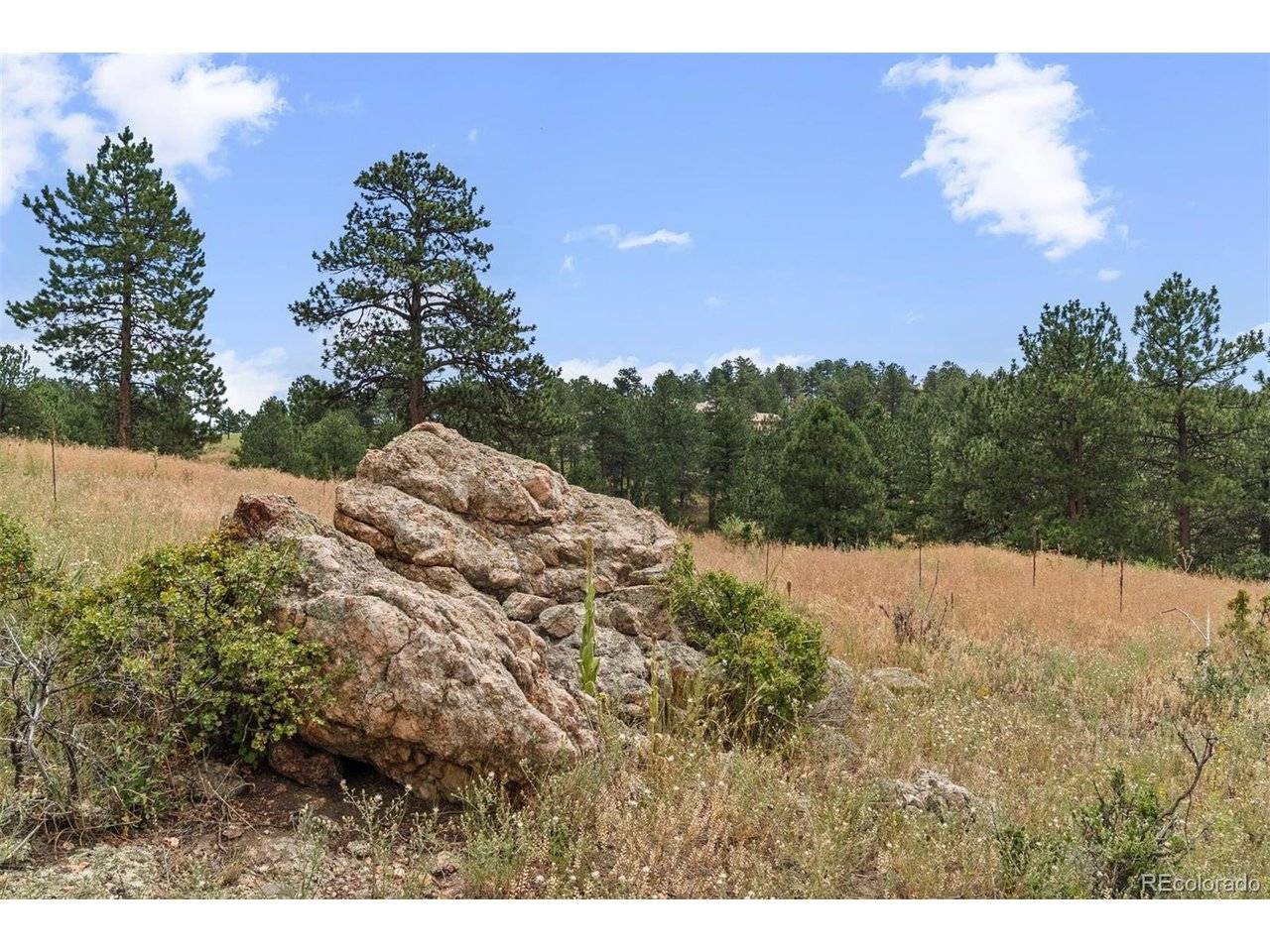 1162 Swede Gulch, Evergreen, CO 80439