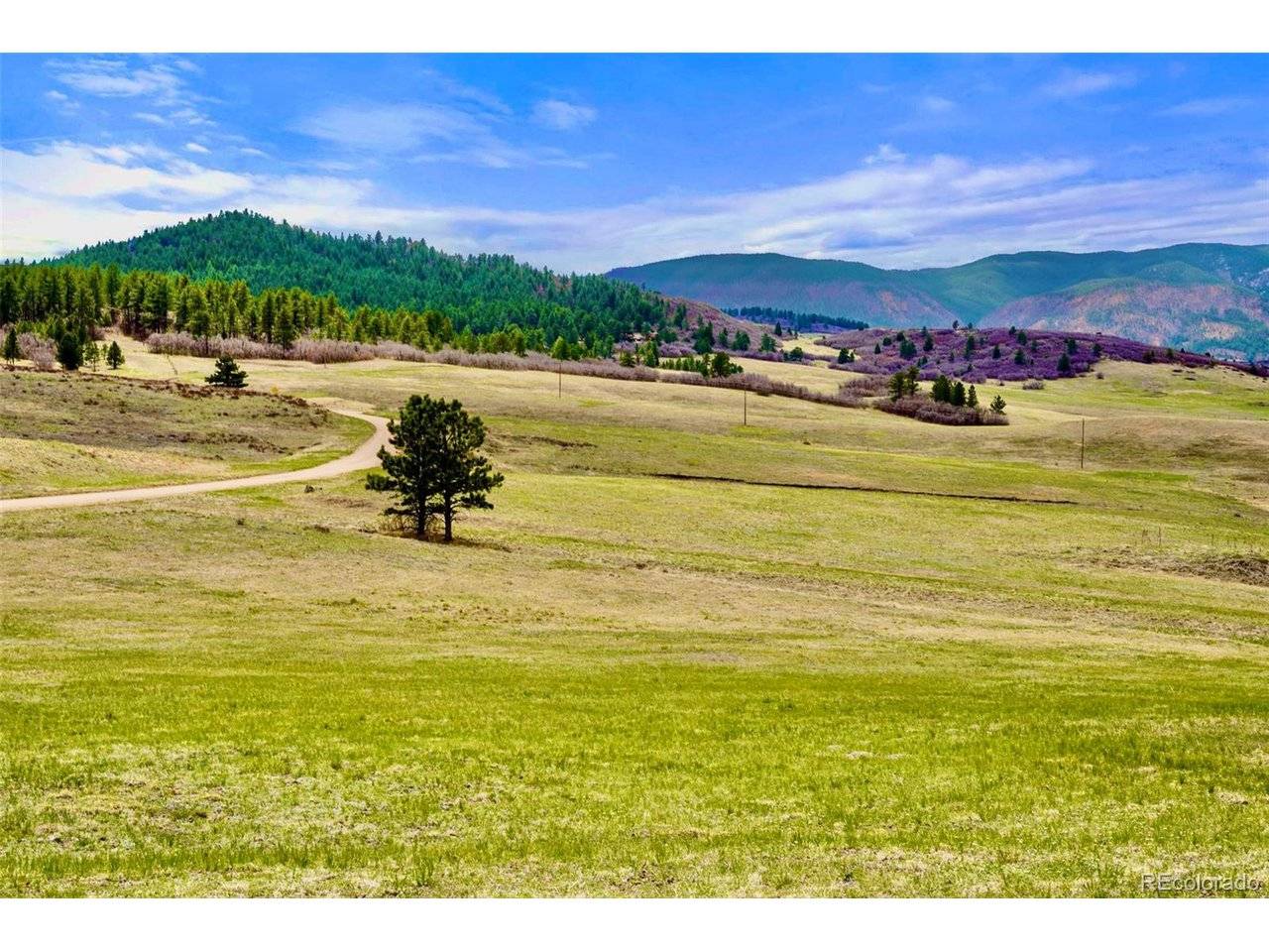 1 S Perry Park, Larkspur, CO 80118