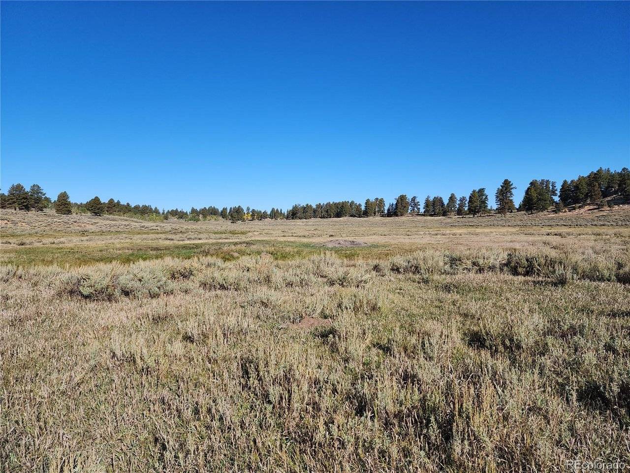 0 Divide (Louie Pasture), Whitewater, CO 81527