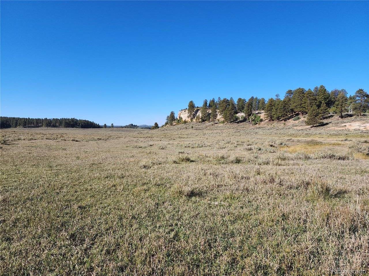 0 Divide (Louie Pasture), Whitewater, CO 81527