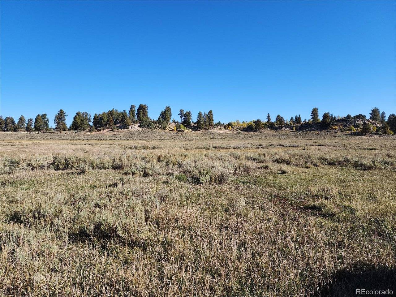0 Divide (Louie Pasture), Whitewater, CO 81527