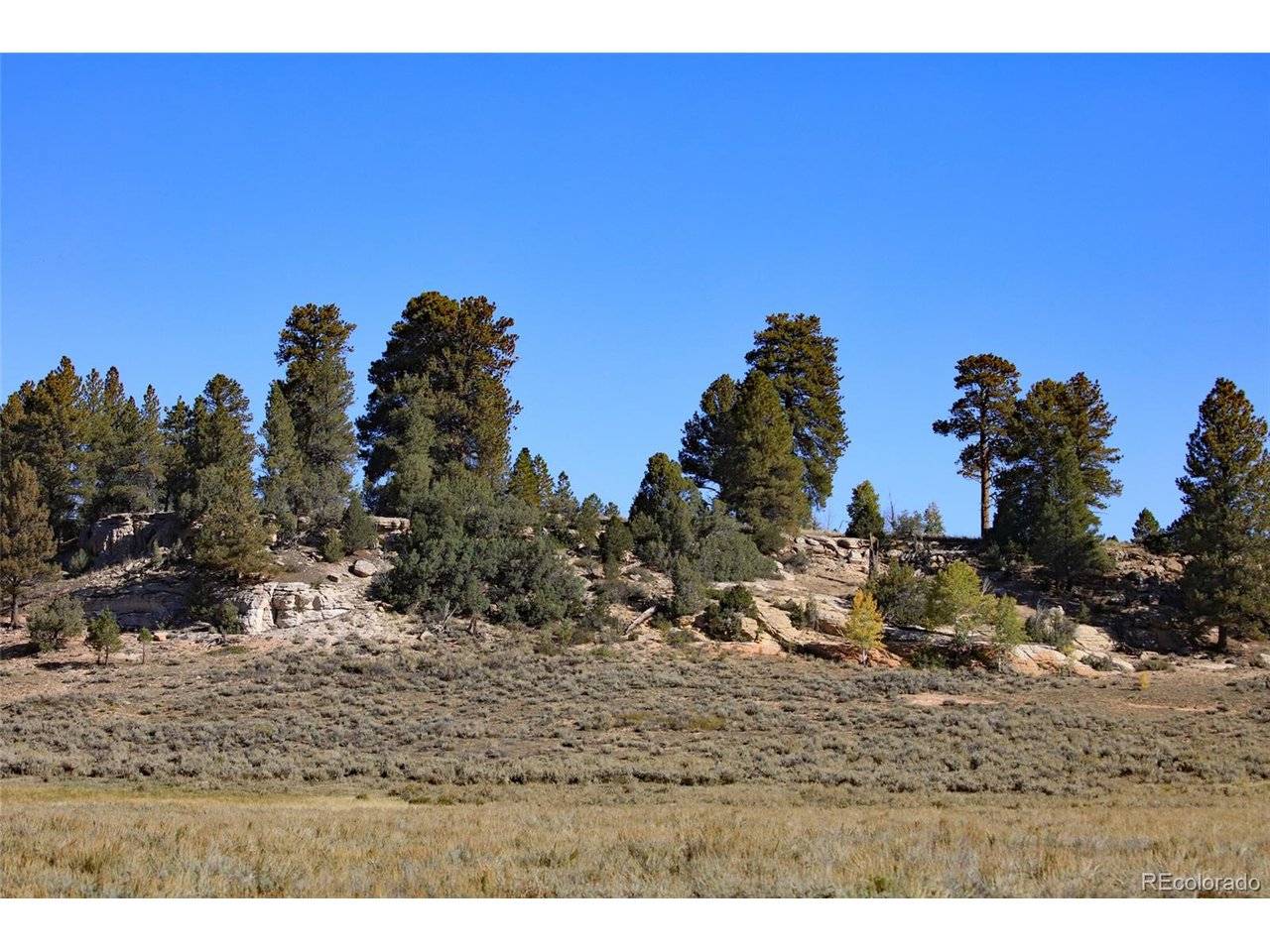 0 Divide (Louie Pasture), Whitewater, CO 81527