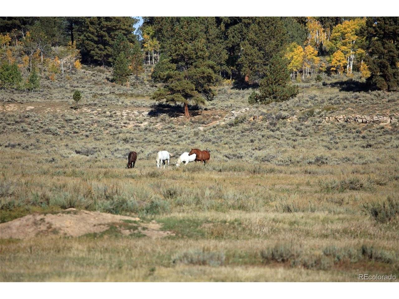 0 Divide (Louie Pasture), Whitewater, CO 81527