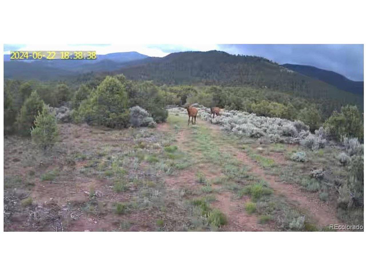 8 Mountain Ridge, San Luis, CO 81152