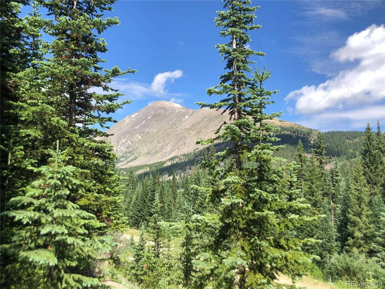 299 CR 805, Breckenridge, CO 80424