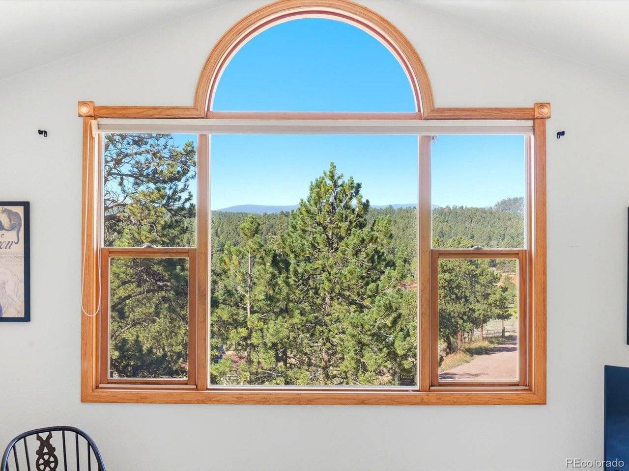 74 Badger, Bailey, CO 80421
