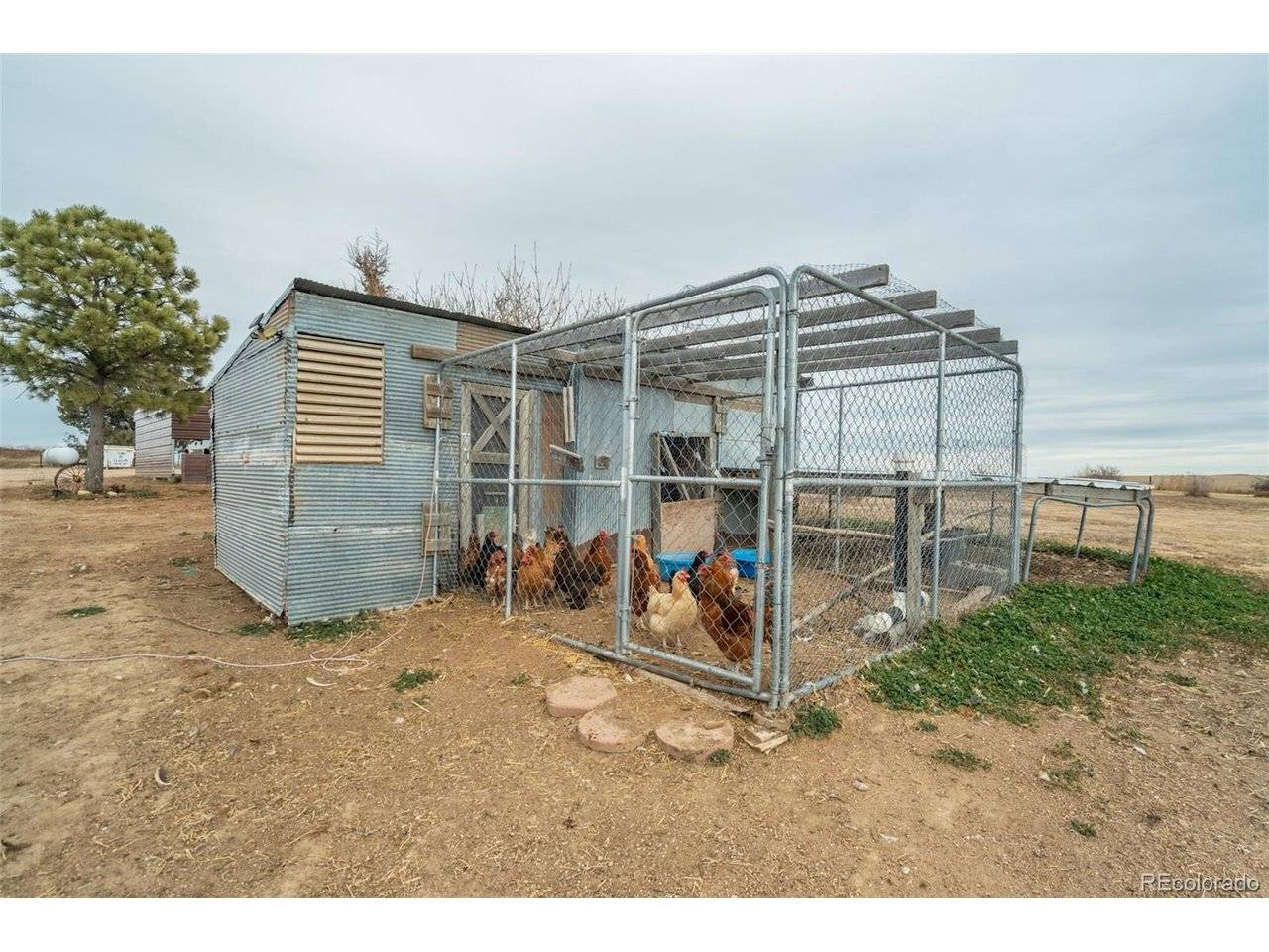53647 County Road 36.4, Genoa, CO 80818