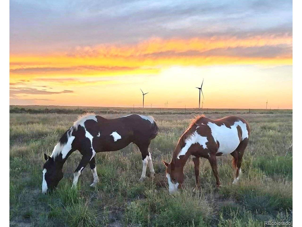 53647 County Road 36.4, Genoa, CO 80818