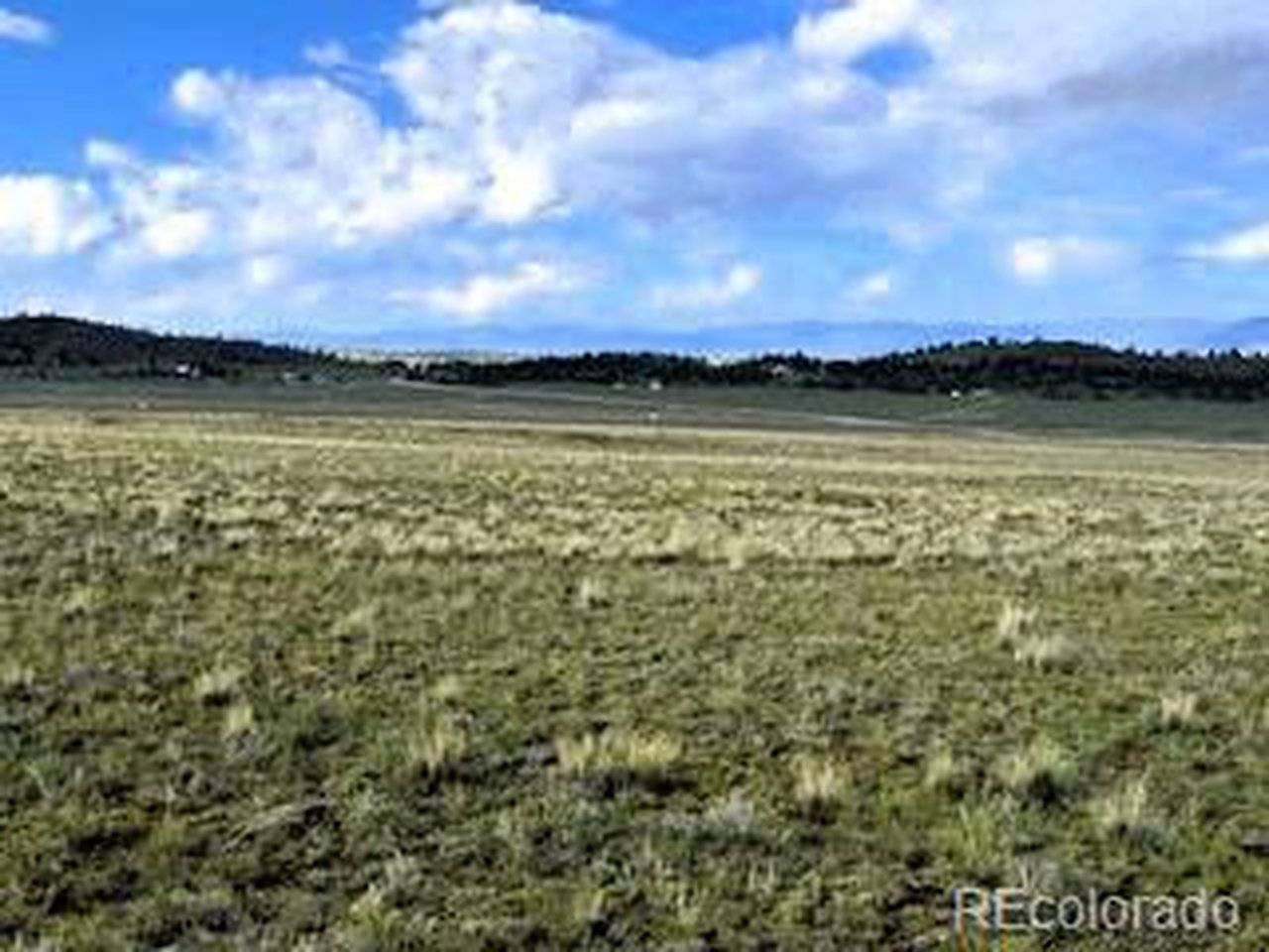 599 Summit, Hartsel, CO 80449