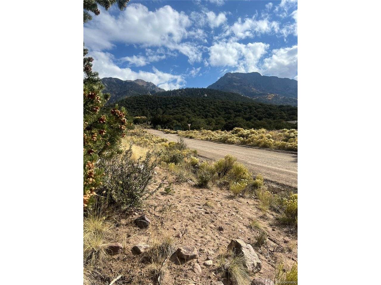 866 Pine Cone, Crestone, CO 81131