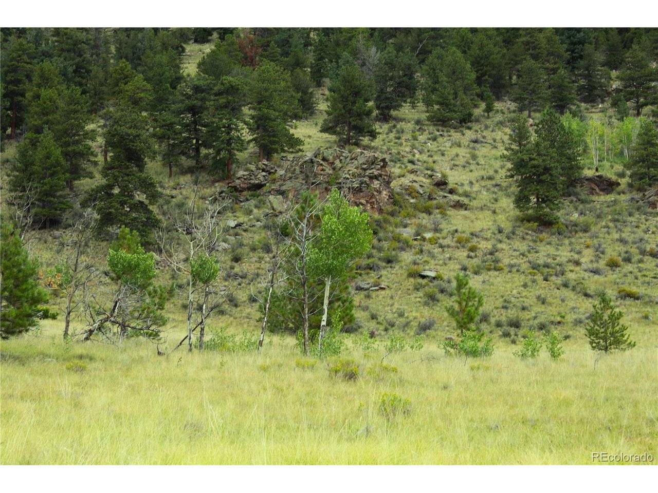 Hwy 24, Hartsel, CO 80827