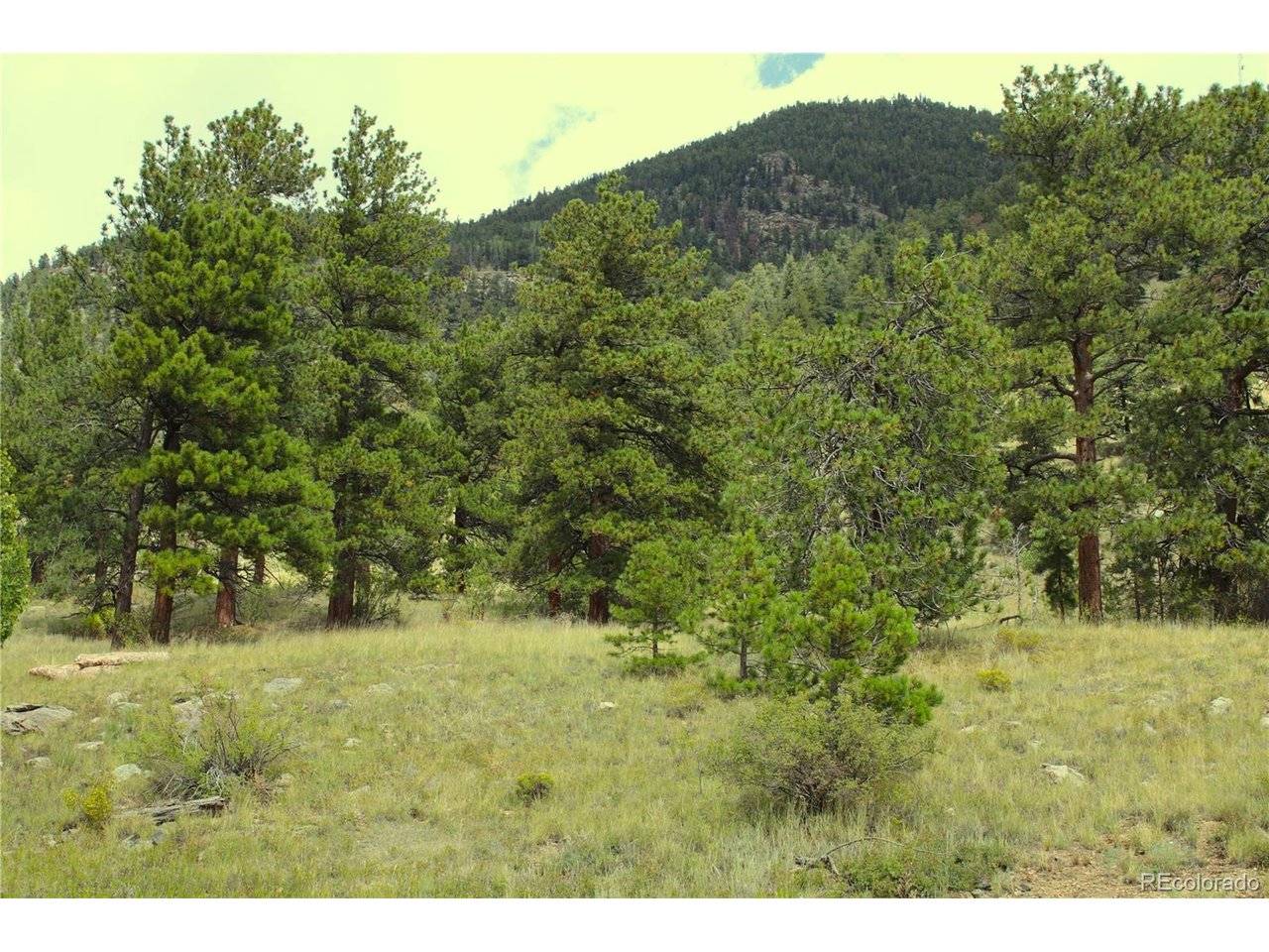 Hwy 24, Hartsel, CO 80827
