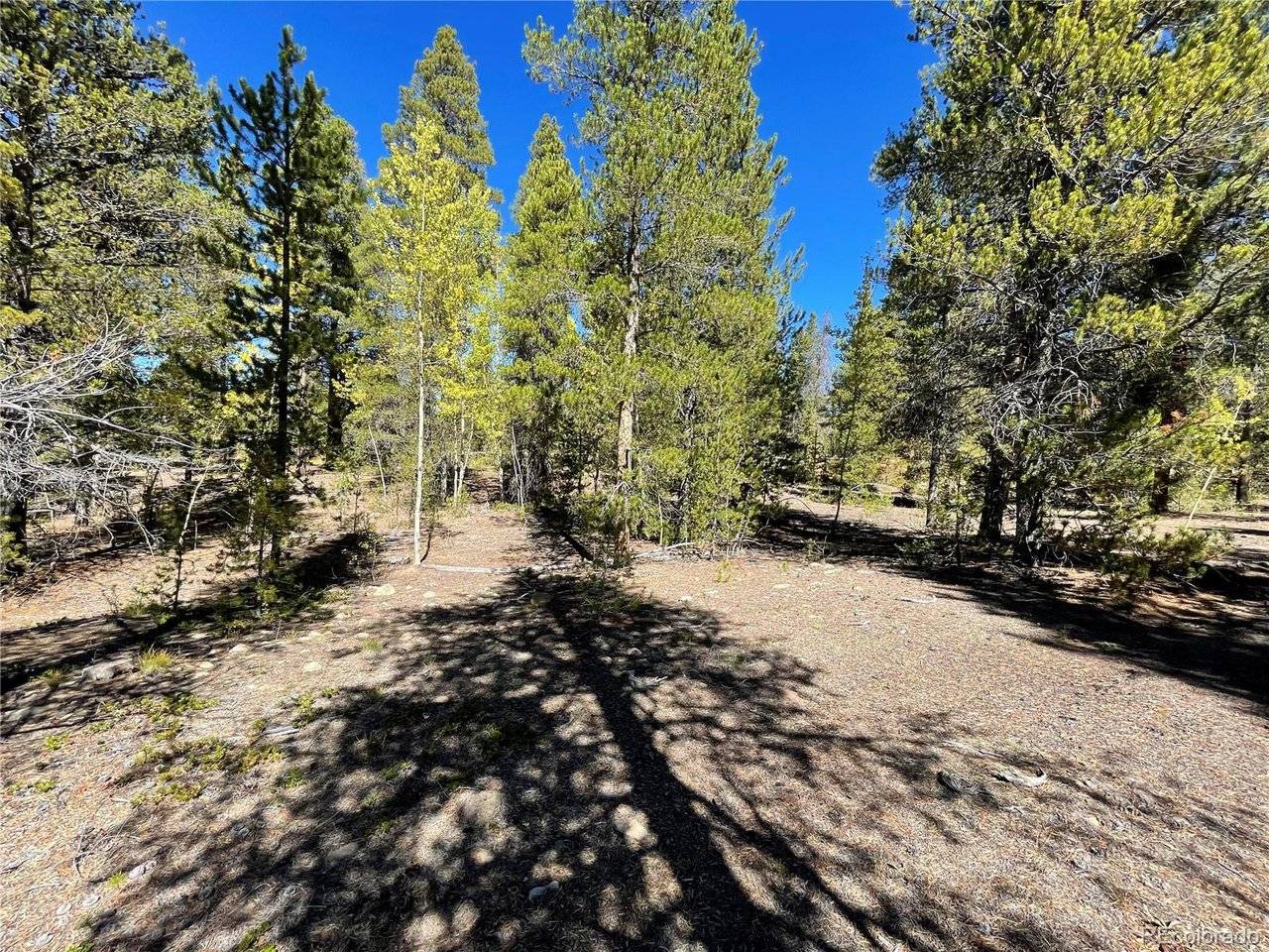 200 Virginia, Leadville, CO 80461