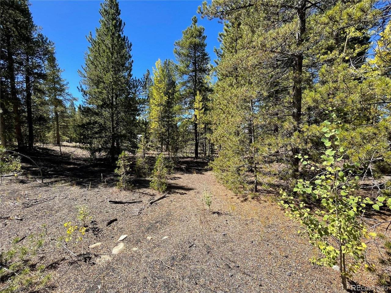 200 Virginia, Leadville, CO 80461
