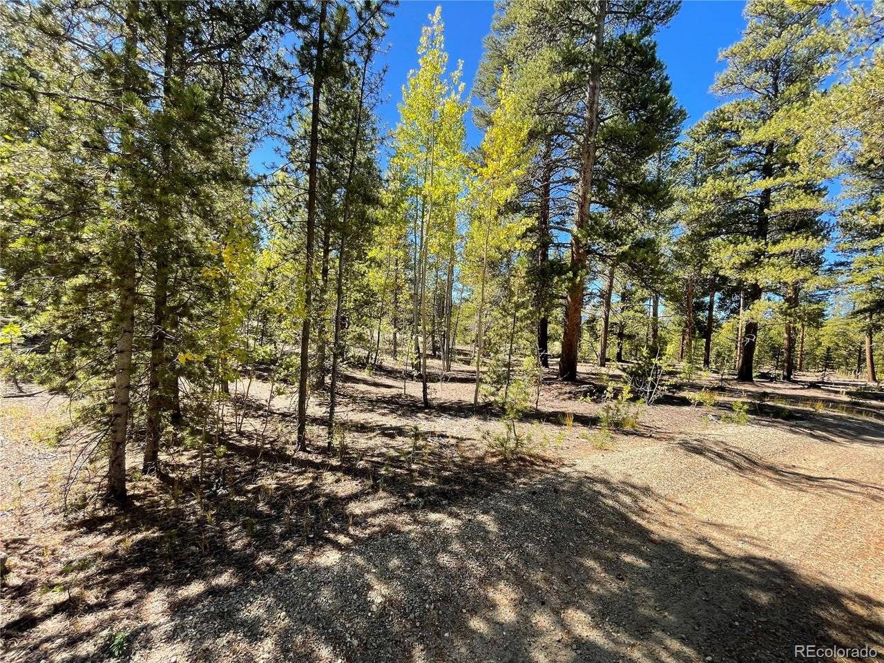 200 Virginia, Leadville, CO 80461