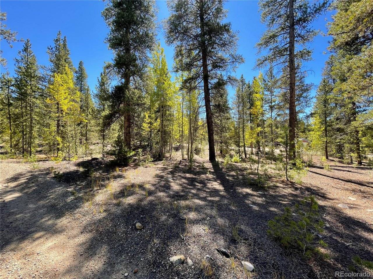 200 Virginia, Leadville, CO 80461