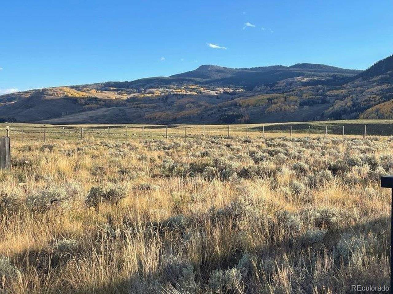 84 Chestnut, Crested Butte, CO 81224