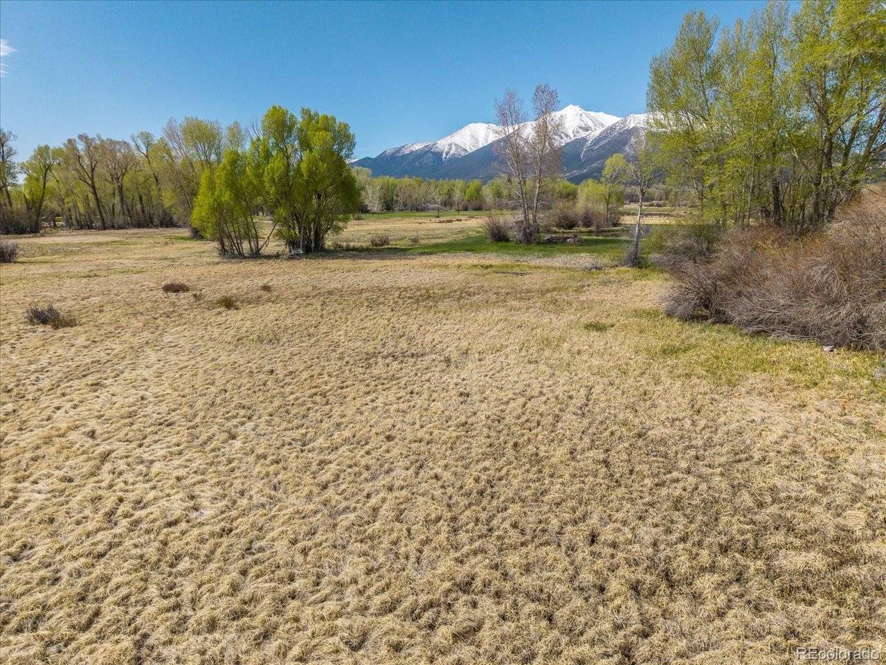 CR 361A, Buena Vista, CO 81211