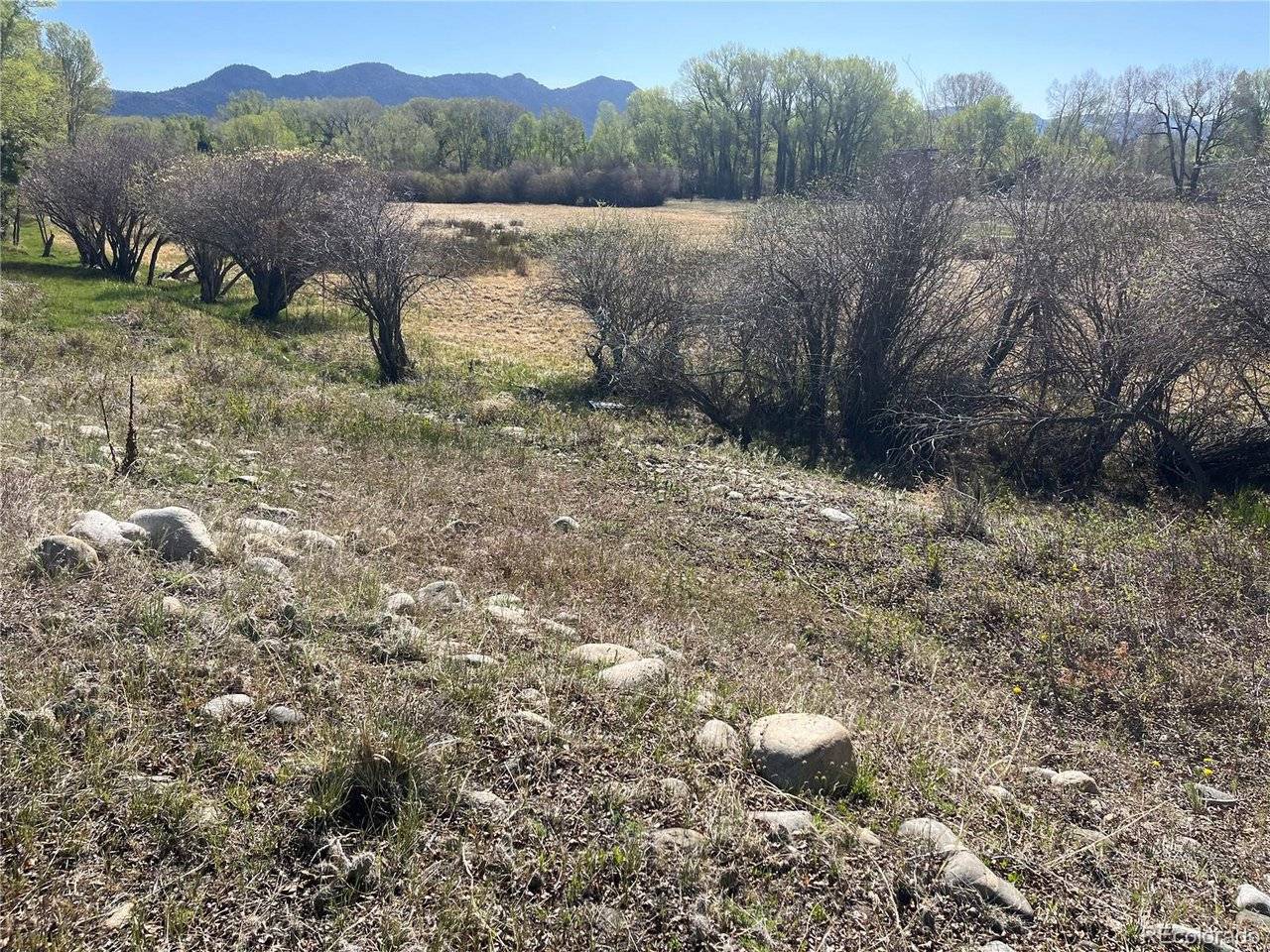 CR 361A, Buena Vista, CO 81211