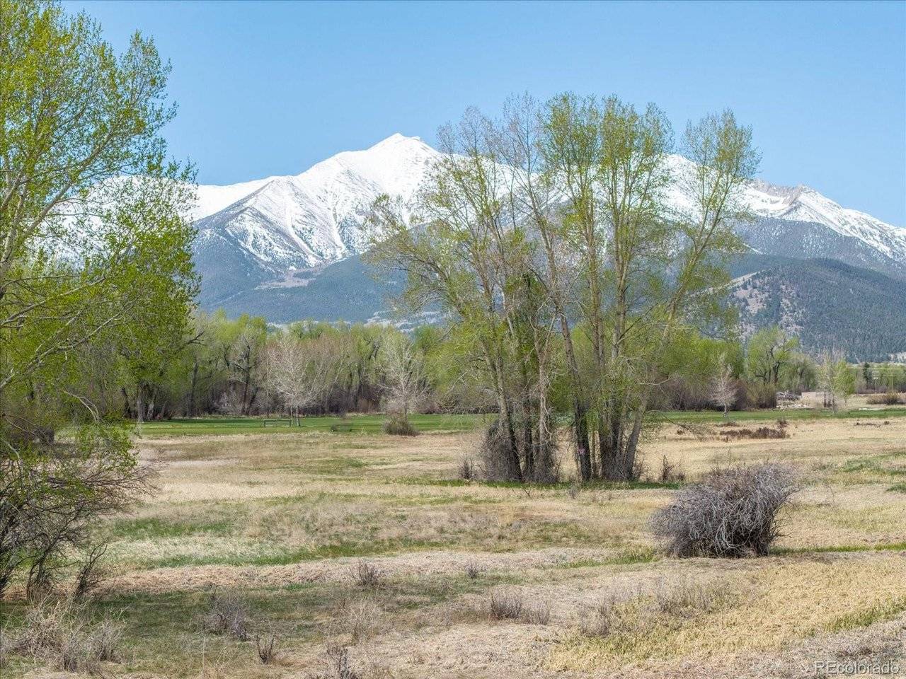 CR 361A, Buena Vista, CO 81211