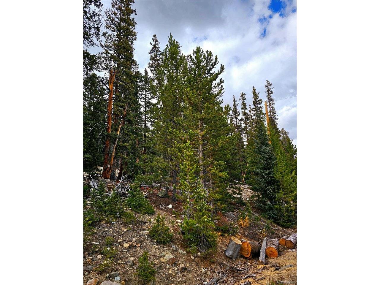 387 El Lobo, Fairplay, CO 80440