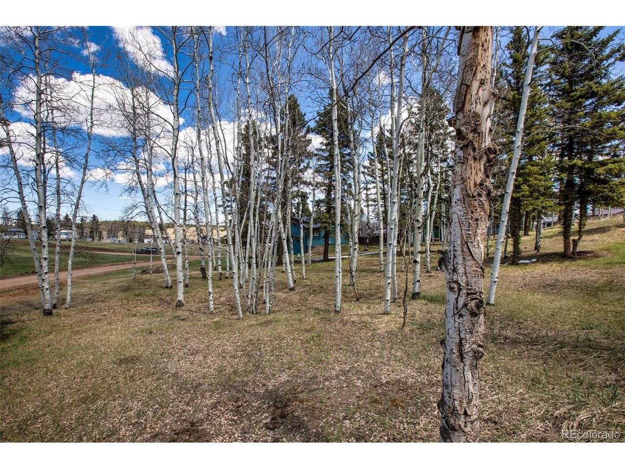 571 Will Scarlet, Divide, CO 80814