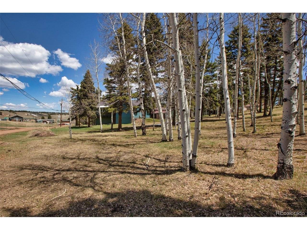 571 Will Scarlet, Divide, CO 80814