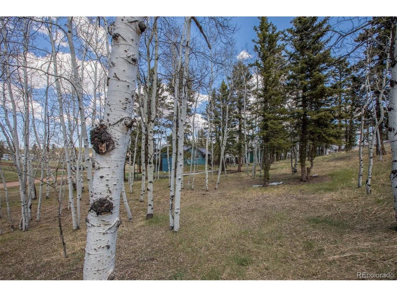 571 Will Scarlet, Divide, CO 80814