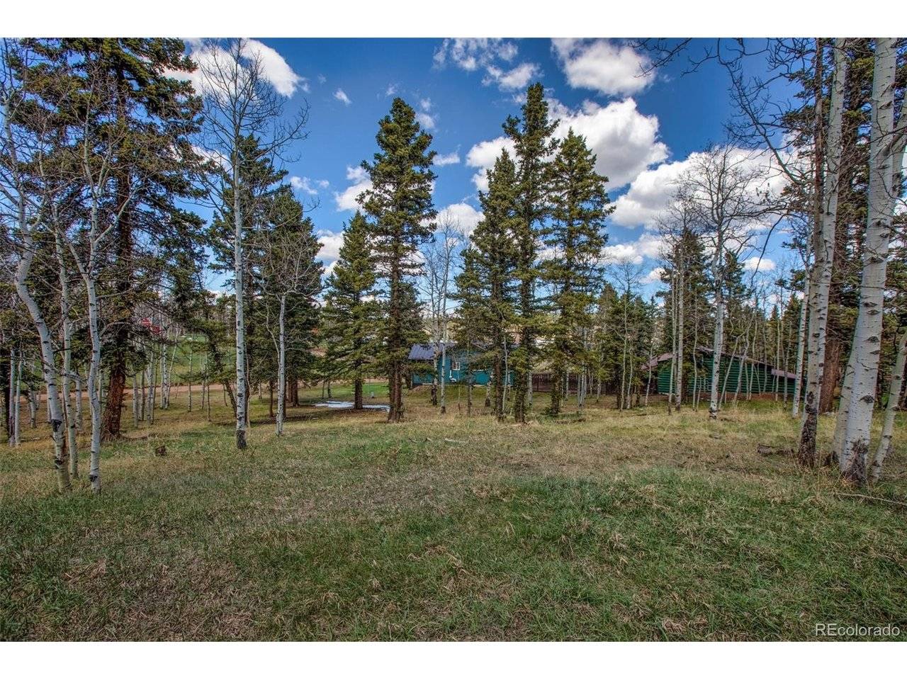 571 Will Scarlet, Divide, CO 80814